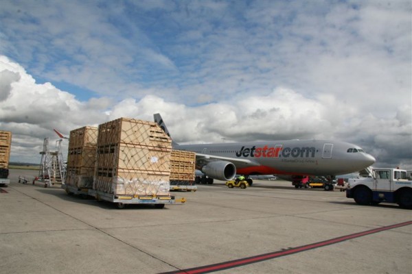 Livestock crates beside an aircraft at an airport